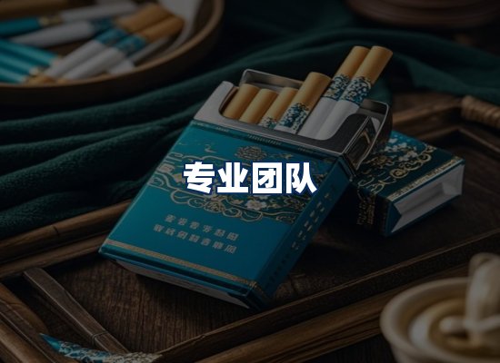 专业团队